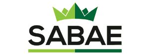 sabae